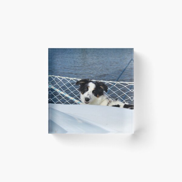 Item preview, Skipper Smiling while Peering over Dinghy designed and sold by banditandkoko.