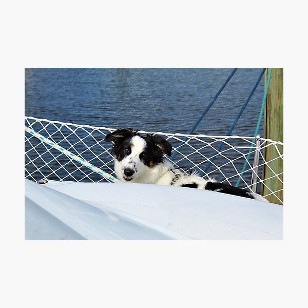 Artikelvorschau, Skipper lächelt, während er über Beiboot späht entworfen und verkauft von banditandkoko.