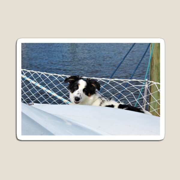 Item preview, Skipper Smiling while Peering over Dinghy designed and sold by banditandkoko.