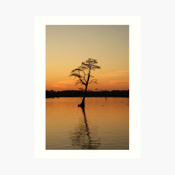 West Landing Marina Sunset Art Print