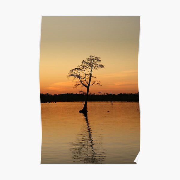 West Landing Marina Sunset Poster