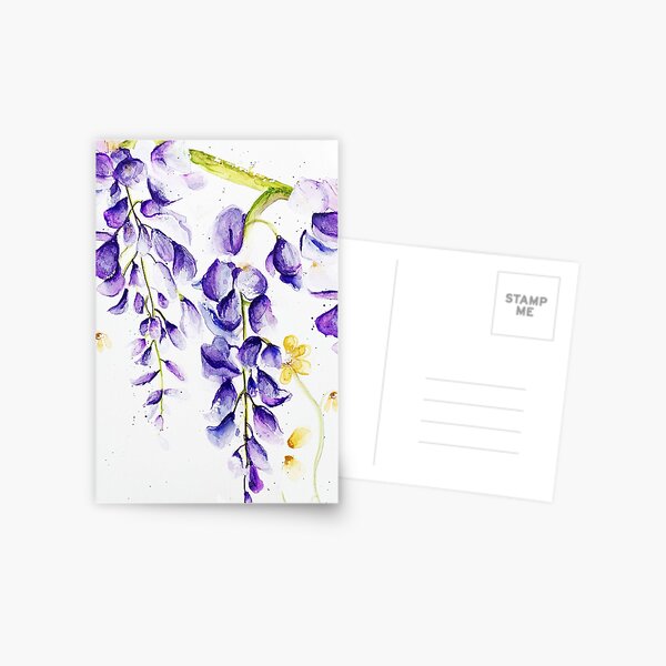 Wisteria Postcard
