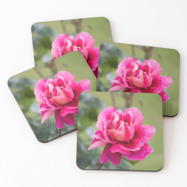 Item preview, Pink Rose designed and sold by LizardSpirit.