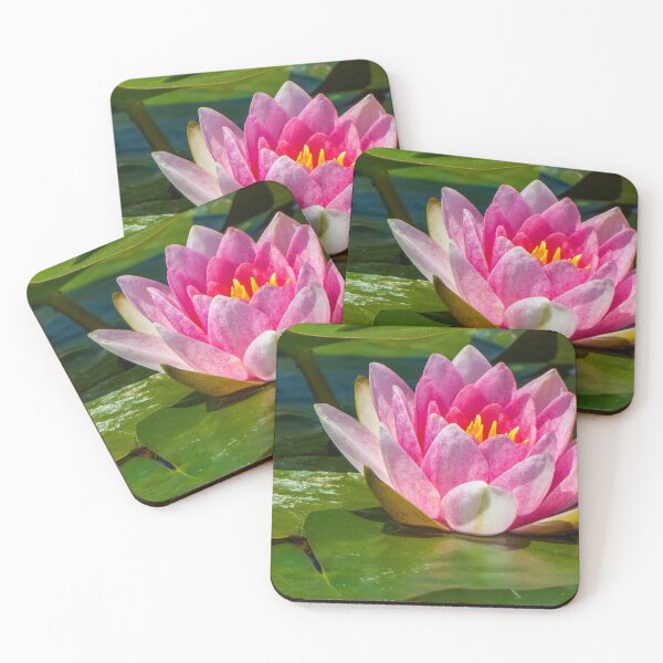 Item preview, Pink Water Lilly designed and sold by DPalmer.