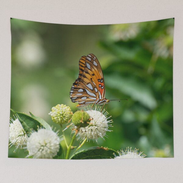 Item preview, Perfil de la hermosa mariposa naranja Fritillary del Golfo designed and sold by Stretch Clendennen.