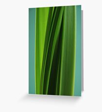 Natural Lines Greeting Card