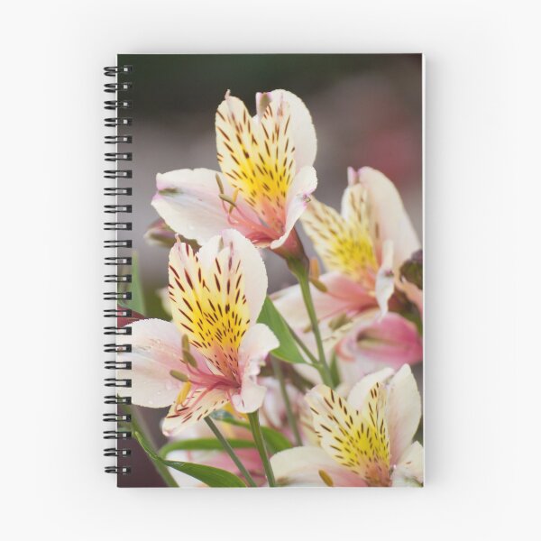 Item preview, Peruvian lily designed and sold by LizardSpirit.