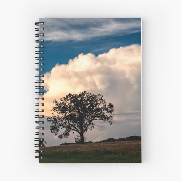 Aperçu de l'œuvre Nuages ​​roulants et un arbre créée et vendue par KellyHeaton.