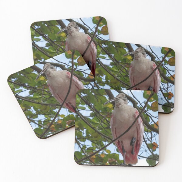 Item preview, Flamingo Watabe  designed and sold by barkeypf.