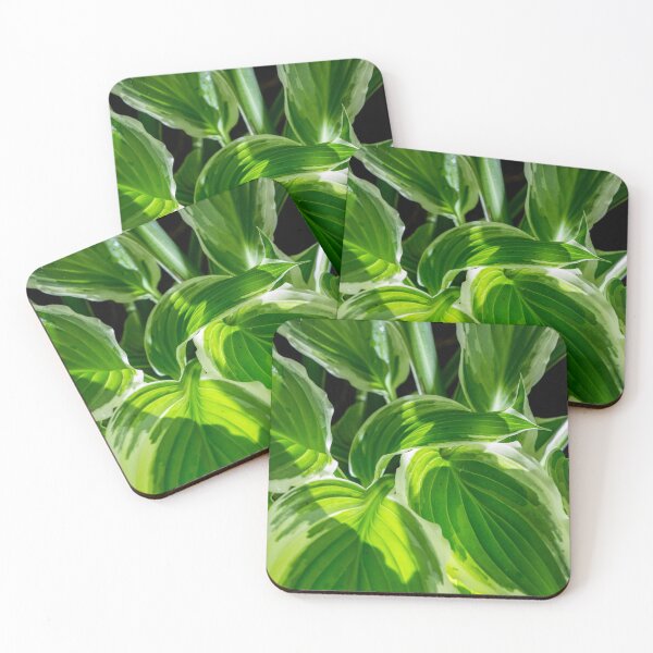 Item preview, Hosta Leaves In The Rain 8 designed and sold by Robert Alsop.