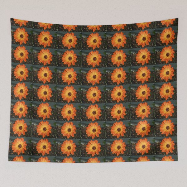 Item preview, Colour Me Orange! Cute Cape Daisy designed and sold by BlueMoonRose.