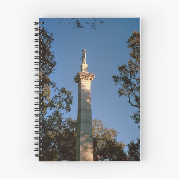 Item preview, Pulaski Monument designed and sold by samshadrake.