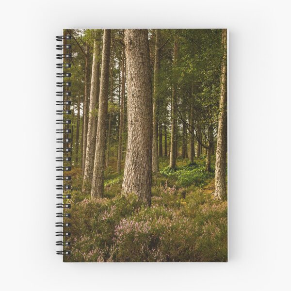Item preview, Scottish woodland designed and sold by Bruce Reardon.