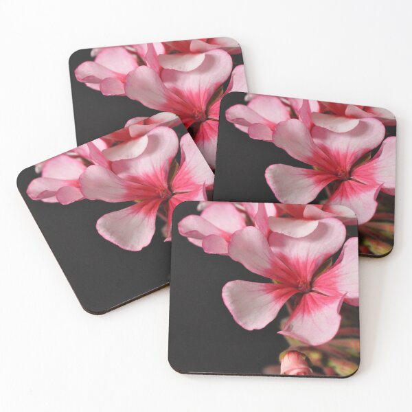 Item preview, Pelargonium sp. designed and sold by Julie Sherlock.