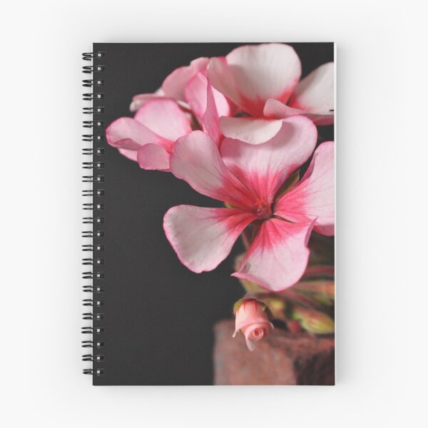 Item preview, Pelargonium sp. designed and sold by Julie Sherlock.