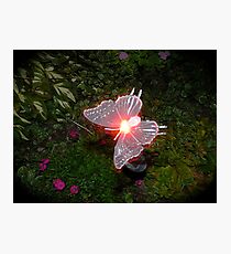 Fairy Land Night Scapes- Fairy Ferry Photographic Print