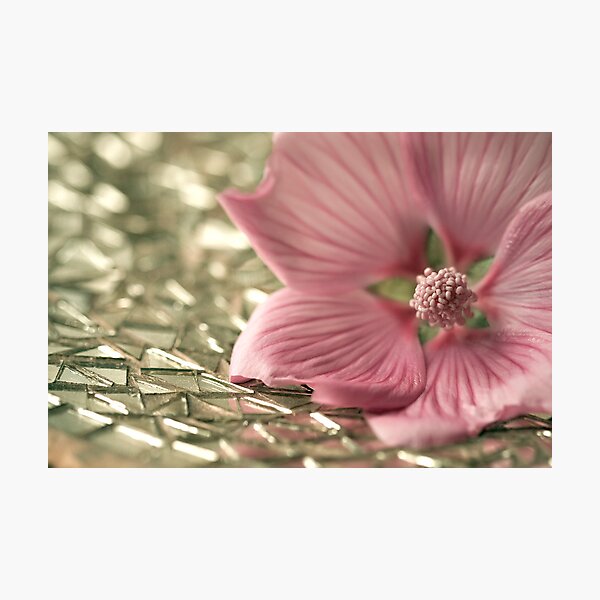 Item preview, Golden tiles designed and sold by Tracey Hill.