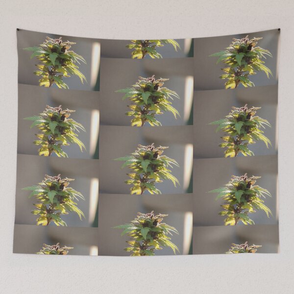 Item preview, Female flower designed and sold by annAHorton.