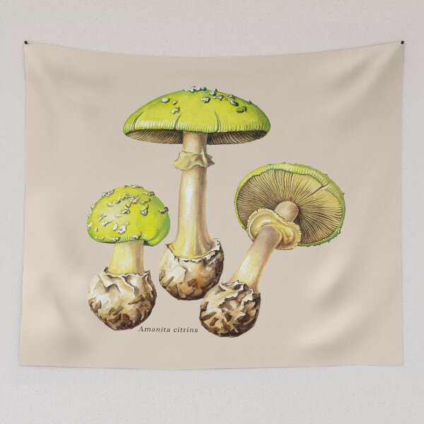 Item preview, Amanita citrina, the false death cap. designed and sold by Squirrox.