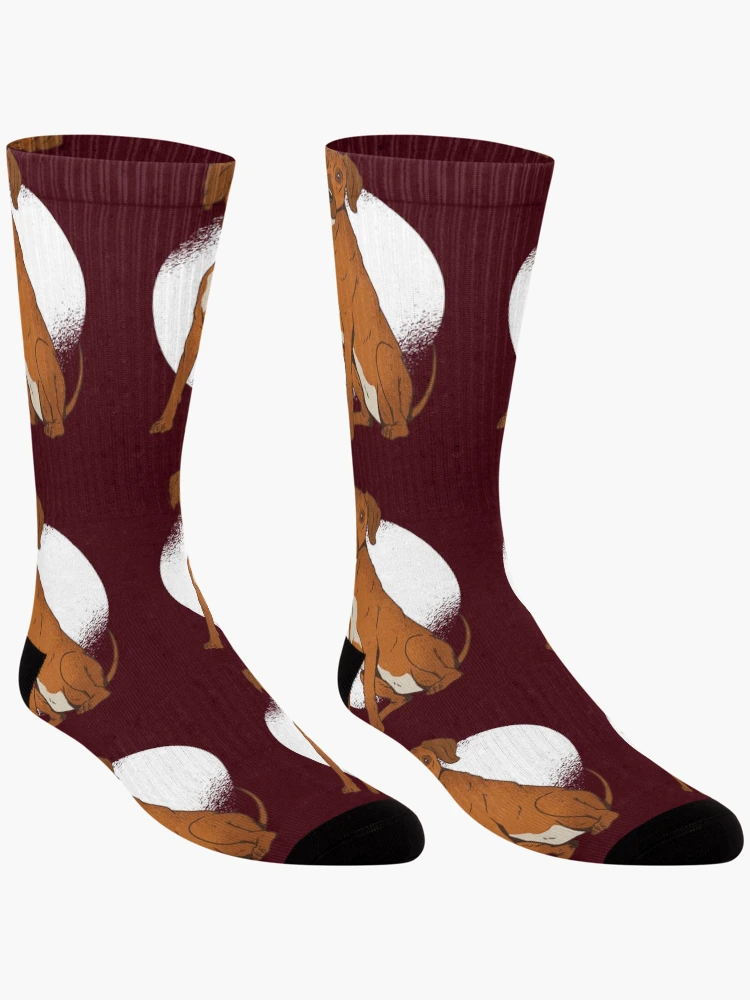 Thumbnail 3 of 5, Socks, Rhodesian Ridgeback designed and sold by DerSenat.