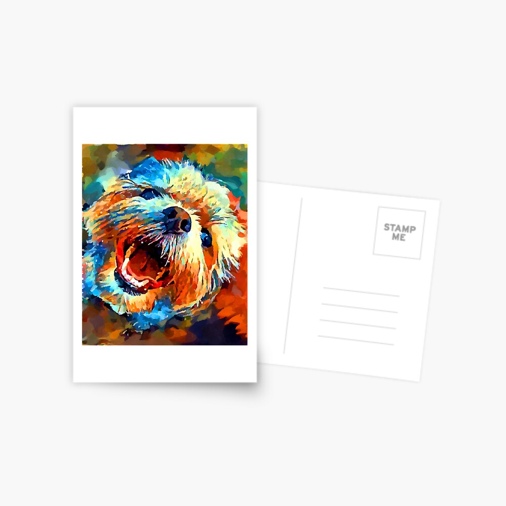 Maltese Shih Tzu Postcard