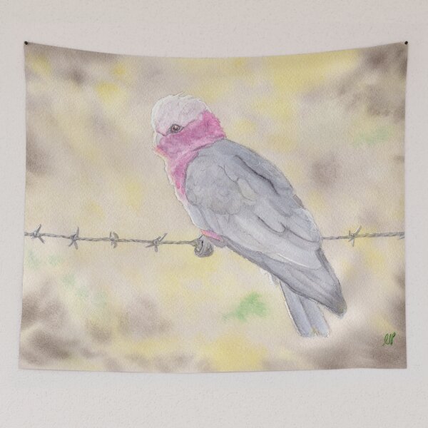 Item preview, Galah on Barbed Wire designed and sold by Kathryn Price.