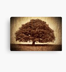 Lienzo Lone Tree in field