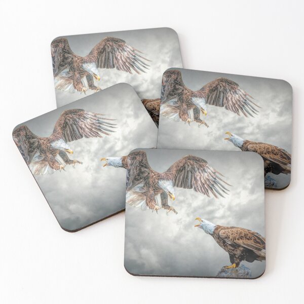 Item preview, Squabbling Eagles designed and sold by Brian Tarr.
