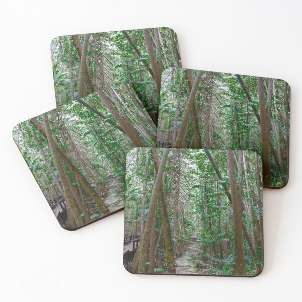 Item preview, Central Station Rainforest, Fraser Island, Queensland Australia designed and sold by Bec Rose.