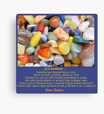 Jy is kosbaar ... Canvas Print