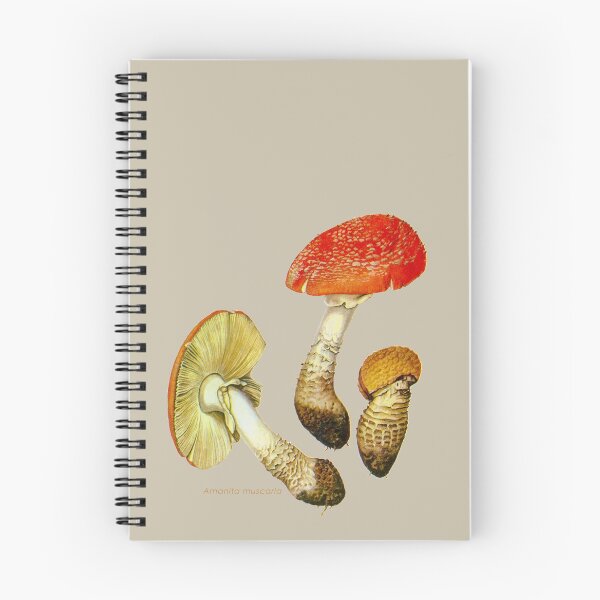 Artikelvorschau, Amanita Muscaria, allgemein bekannt als Fliegenpilz oder Fliegenwulstling. entworfen und verkauft von Squirrox.