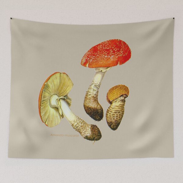 Item preview, Amanita muscaria, commonly known as the fly agaric, or fly amanita. designed and sold by Squirrox.