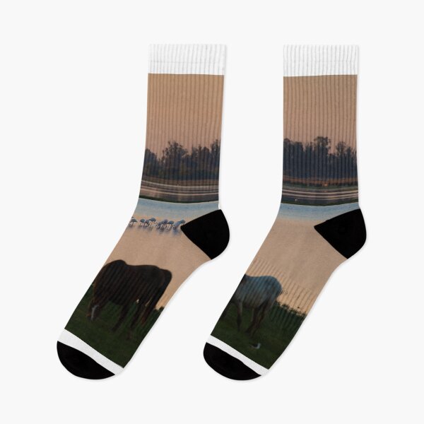 Item preview, Flamingoes at dawn, El Rocio, Parque Nacional de Doñana, Huelva, Spain designed and sold by AndrewJonesFoto.