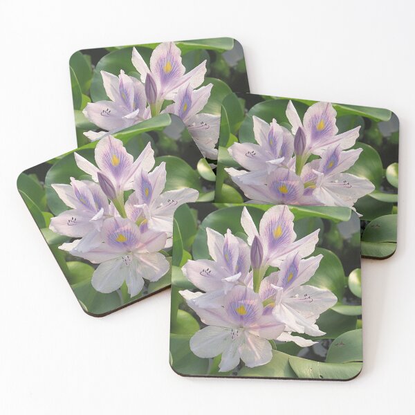 Item preview, Water Hyacinth designed and sold by Linda Walsh.