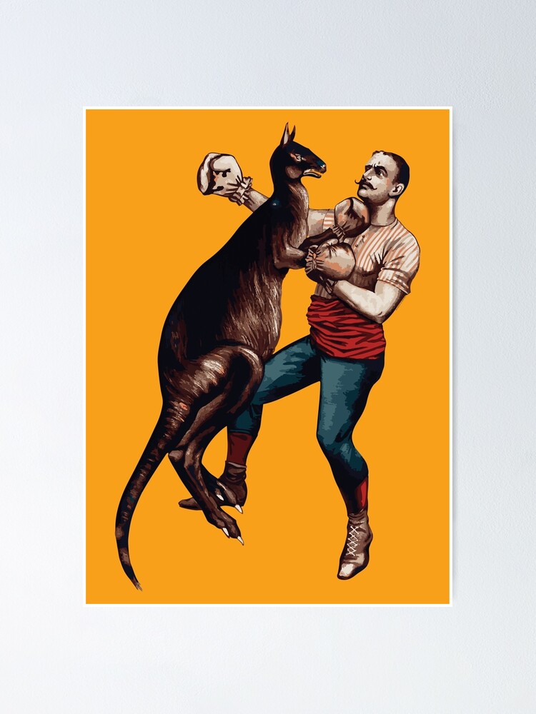 "Boxing Kangaroo" Poster by mlemercoeur Redbubble