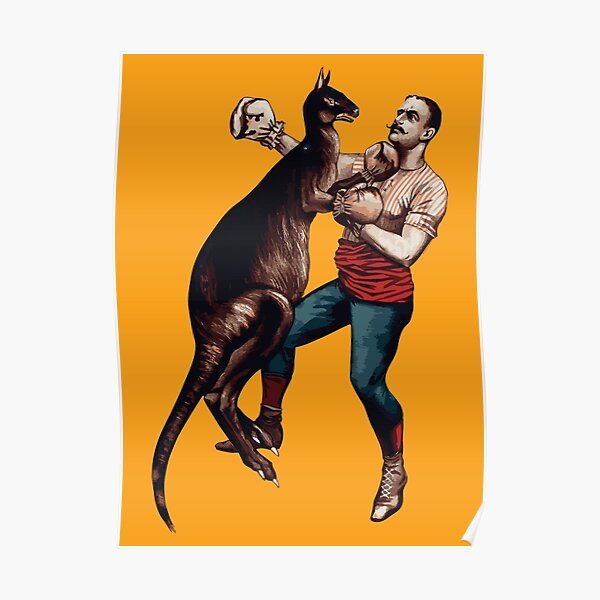 "Boxing Kangaroo" Poster by mlemercoeur Redbubble