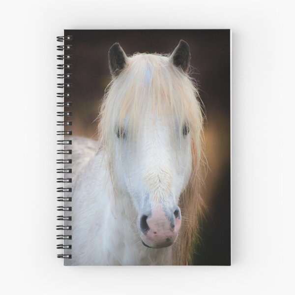 Item preview, A wet Gower pony designed and sold by Leighton Collins.