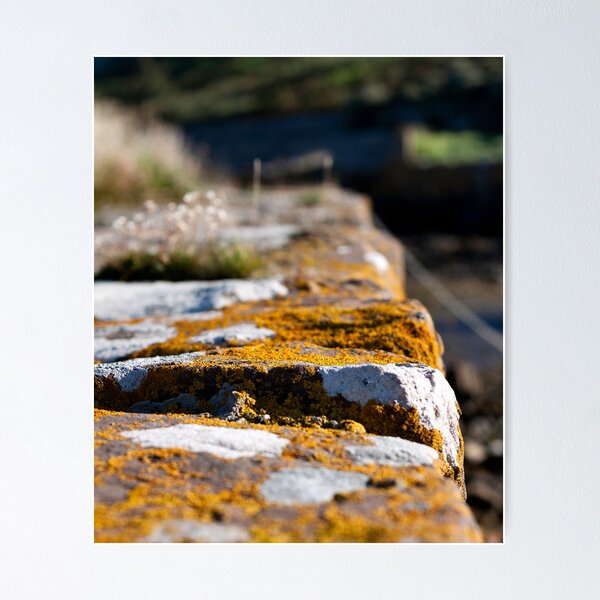 Item preview, Portencross, Ayrshire designed and sold by Paul Messenger.