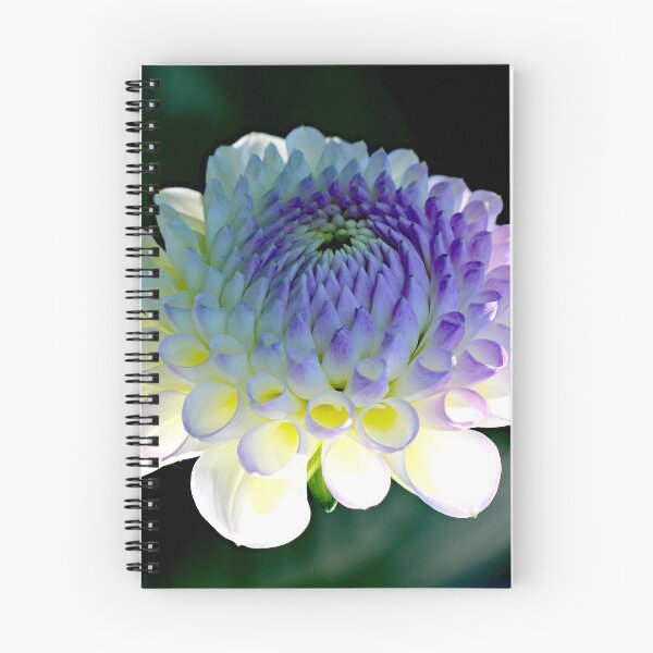 Item preview, Recumbent Dahlia designed and sold by John Thurgood.