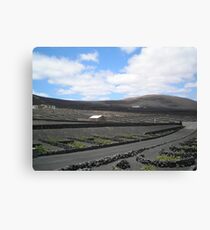 Vineyards in Lanzarote Canvas Print