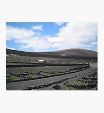 Vineyards in Lanzarote Photographic Print