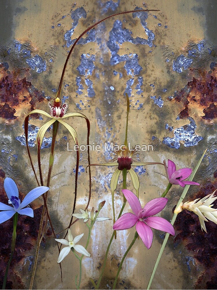 Silky Blue & Orchids with Blue Rusty Metal, native orchids of Western Australia. by yallmia
