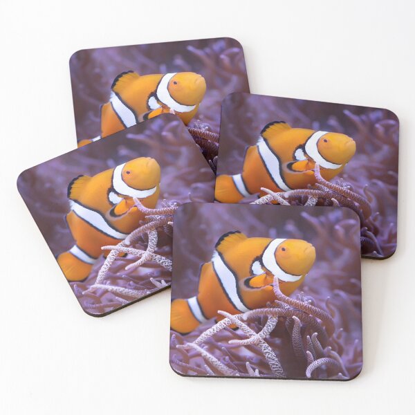 Item preview, I Found NEMO designed and sold by Shannon Rogers.