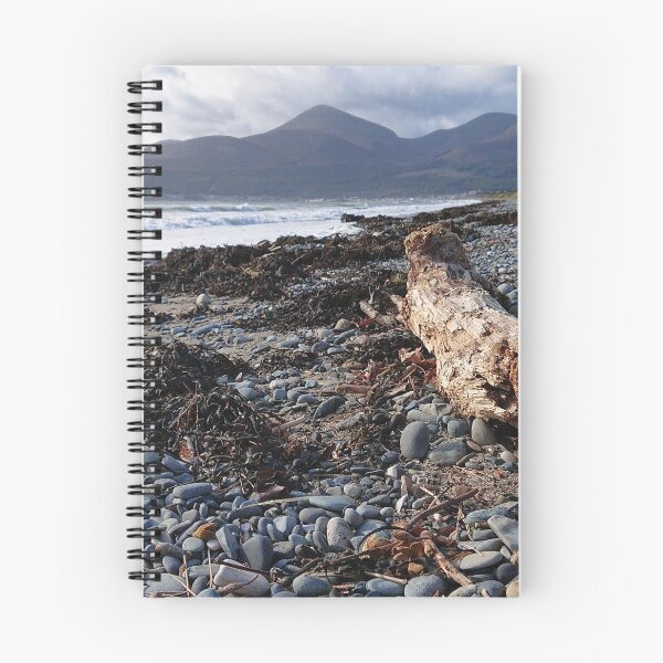 Item preview, Driftwood on Murlough Beach designed and sold by Des Dickson.