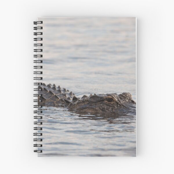 Item preview, American Alligator  designed and sold by MikeVBarry19.
