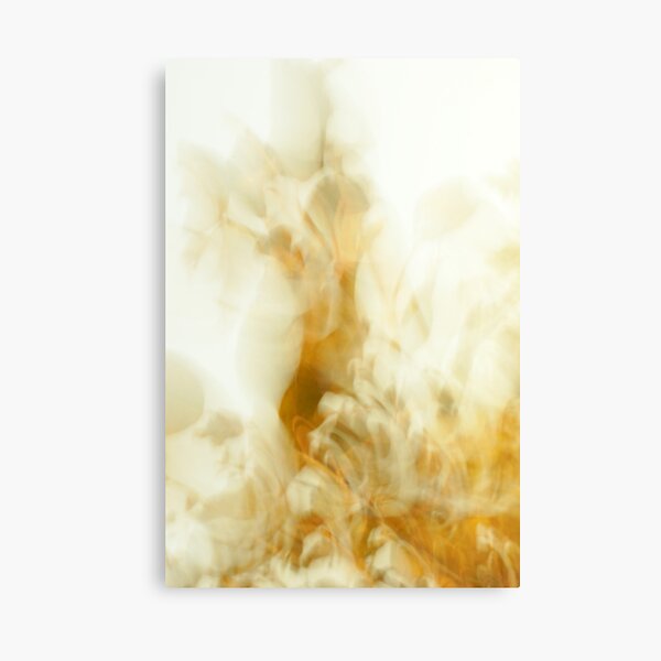 bric-a-brac Canvas Print