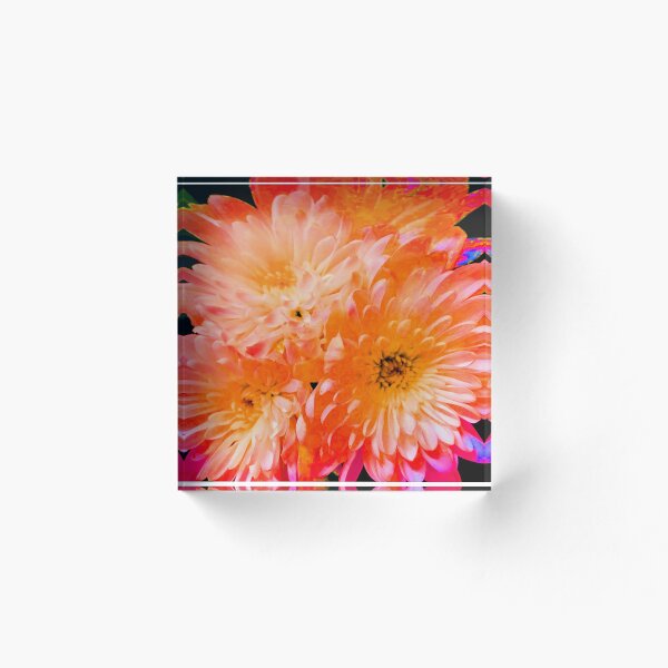 Item preview, SENSATIONAL SHAZZY SHERBET FLOWERS designed and sold by CHOCOLATESCORPI.