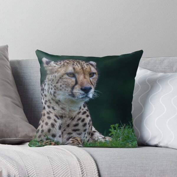 Item preview, Waiting for my lunch designed and sold by Gary Osborne.