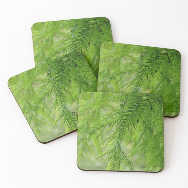 Item preview, Soft green leaf fronds in the sunlight. designed and sold by Jacqueline Le Sueur.