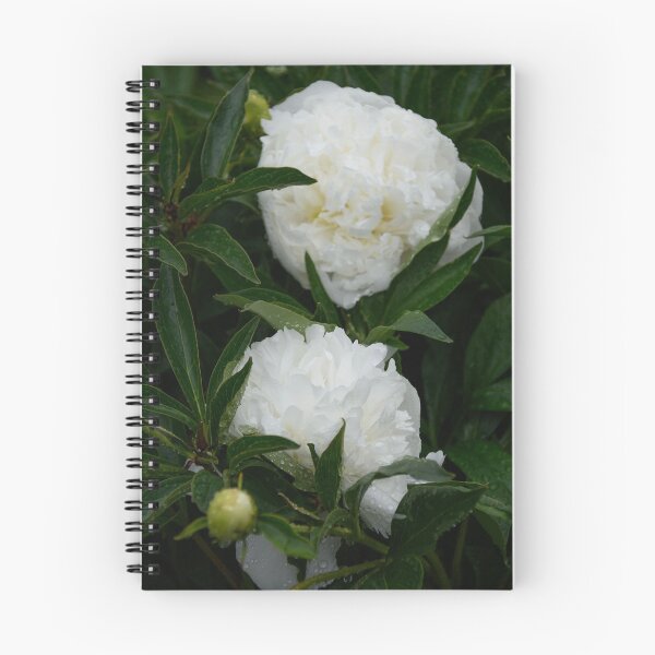 Item preview, Tender Blossoming Peony Flowers designed and sold by denis-romanov.